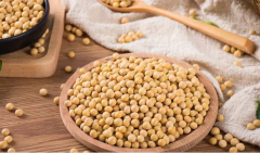 大豆蛋白酶抑制因子是什么？