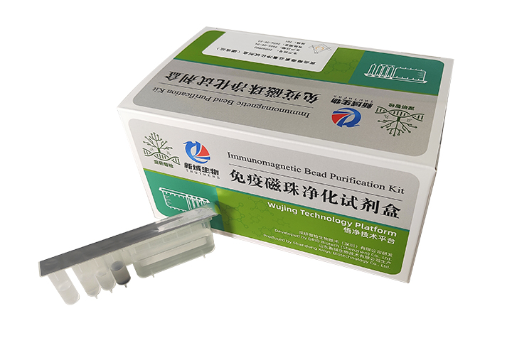 黄曲霉毒素净化试剂盒（磁珠法）