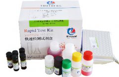 大豆抗营养因子:发酵豆粕应用的关键限制因素