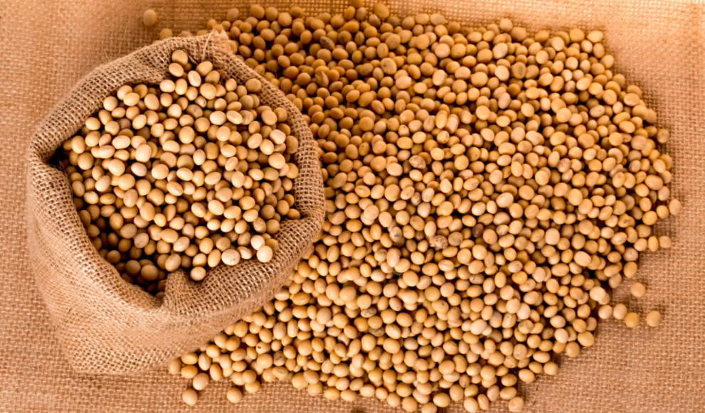 7s球蛋白检测试剂盒