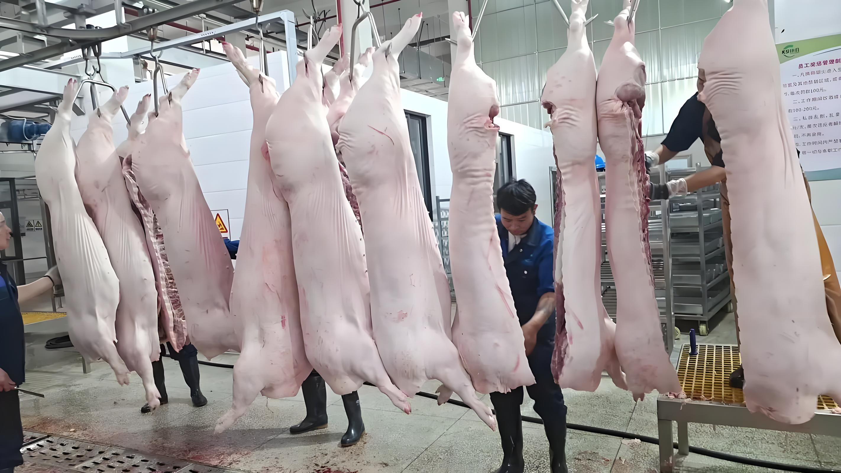 瘦肉精检测适用单位